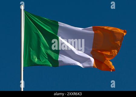 25.08.2024, Baden-Baden, Symbolbild Nationalflagge Irland weht im Wind Baden-Württemberg Deutschland *** 25 08 2024, Baden Baden Baden, Symbolbild der irischen Nationalflagge im Wind winkend Baden-Württemberg Deutschland Stockfoto