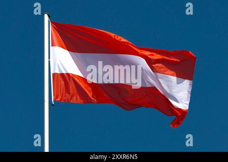 25.08.2024, Baden-Baden, Symbolbild Nationalflagge von Österreich weht im Wind Baden-Württemberg Deutschland *** 25 08 2024, Baden Baden Baden, symbolisches Bild der im Wind winkenden Nationalflagge Österreichs Baden-Württemberg Deutschland Stockfoto