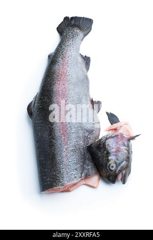 Ganze frische Forelle isoliert auf weißem Hintergrund Stockfoto