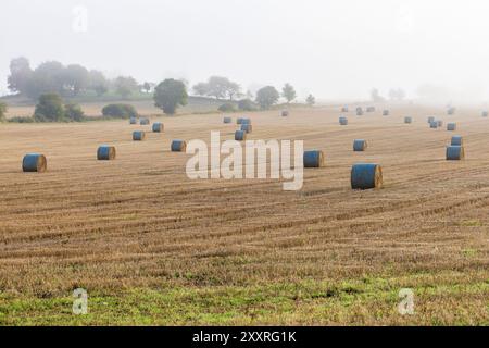 Ländliche Landschaft mit Heuballen am Morgen Stockfoto
