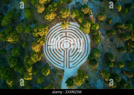 Aus der Vogelperspektive des kreisrunden Heckenlabyrinths umgeben von dichten Waldbäumen. Lavendellabyrinth in Rogoznica, Kroatien Stockfoto