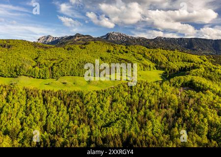 Luftaufnahme eines Waldes im Frühling vor den Bergen, sonnig, Murnau, Blick auf die Bayerischen Alpen, Bayern, Deutschland, Europa Stockfoto