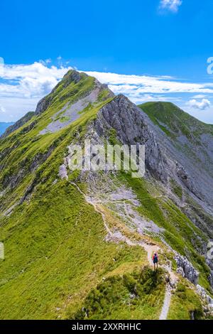 Luftaufnahme der Presolana im Sommer vom Passo Pozzera. Castione della Presolana, Val Seriana, Bezirk Bergamo, Lombardei, Italien. Stockfoto