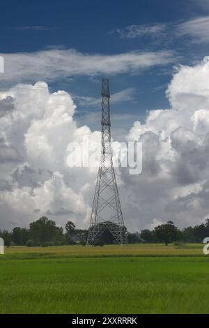 Hochspannungs-Strommasten zwischen den Städten stehen in Reisfeldern, mit weißen Wolken am Himmel an einem klaren Tag, Elektromasten haben noch kein wi Stockfoto