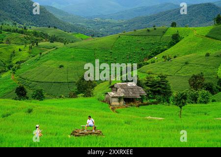 Chiang Mai, Thailand. August 2024. Ein Tourist posiert für Fotos am Aussichtspunkt der Ban Pa Pong Piang Reisterrassen. Das kleine Dorf in den Bergen des Doi Inthanon Nationalparks. Quelle: SOPA Images Limited/Alamy Live News Stockfoto