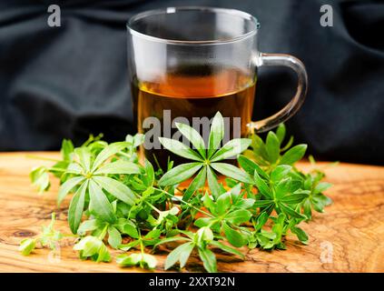 Süßer Holzdruff (Galium odoratum), frischer Holzdruff vor einem Glas Holzdruff-Tee Stockfoto