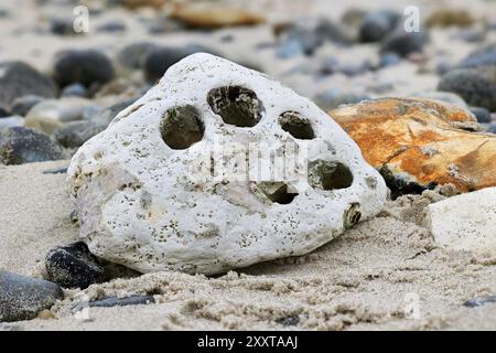 Adlerstein am Nordseestrand, Deutschland, Schleswig-Holstein, Helgoland Stockfoto