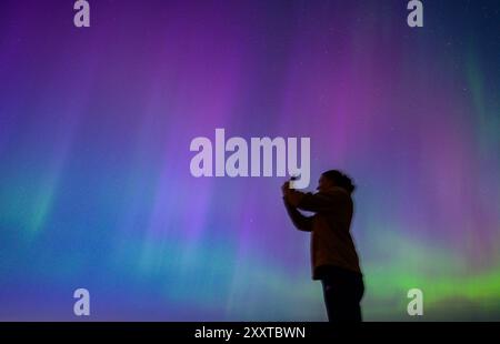 Sundsvall, Schweden. August 2024. Farbenfrohe Auroras leuchten am Nachthimmel in der Nähe der nordschwedischen Stadt Sundsvall. Quelle: Patrick Pleul/dpa/Alamy Live News Stockfoto