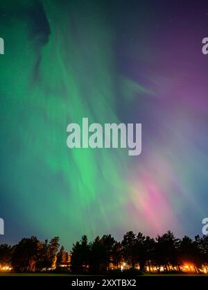 Sundsvall, Schweden. August 2024. Farbenfrohe Auroras leuchten am Nachthimmel in der Nähe der nordschwedischen Stadt Sundsvall. Quelle: Patrick Pleul/dpa/Alamy Live News Stockfoto