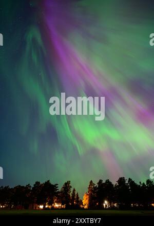 Sundsvall, Schweden. August 2024. Farbenfrohe Auroras leuchten am Nachthimmel in der Nähe der nordschwedischen Stadt Sundsvall. Quelle: Patrick Pleul/dpa/Alamy Live News Stockfoto