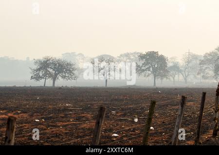 Goiania, Goias, Brasilien – 25. August 2024: Landschaft mit verbrannten Feldern, mit viel Rauch und einigen Bäumen. Stockfoto