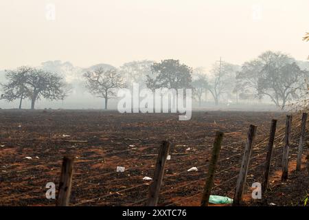 Goiania, Goias, Brasilien – 25. August 2024: Landschaft mit verbrannten Feldern, mit viel Rauch und einigen Bäumen. Stockfoto