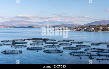 Fischfarm auf dem Meer, Fischzucht, Griechenland Aquakultur, Meeresfischfarm. Fischzuchtkäfige und Fischernetze, Fischzucht, mit Meereslandschaft und Stockfoto