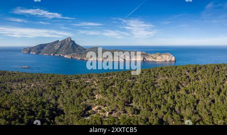 Cala en Basset Pinienwald und Dragonera Insel, Andratx, Mallorca, Balearen, Spanien Stockfoto