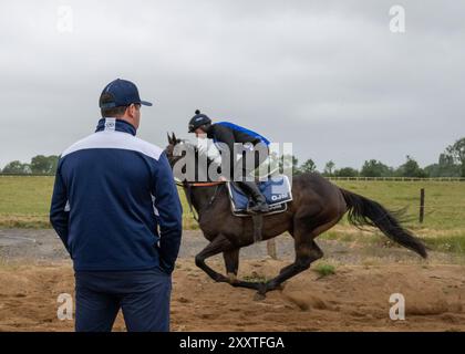 Olly Murphy Racing, Wilmcote, Großbritannien Stockfoto