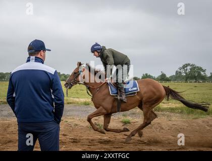 Olly Murphy Racing, Wilmcote, Großbritannien Stockfoto