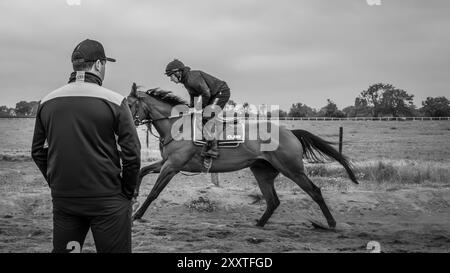 Olly Murphy Racing, Wilmcote, Großbritannien Stockfoto