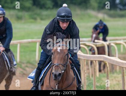 Olly Murphy Racing, Wilmcote, Großbritannien Stockfoto