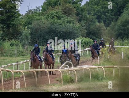 Olly Murphy Racing, Wilmcote, Großbritannien Stockfoto