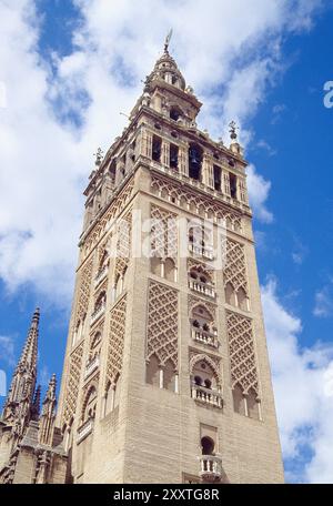 La Giralda Turm, Blick von unten. Sevilla, Spanien. Stockfoto