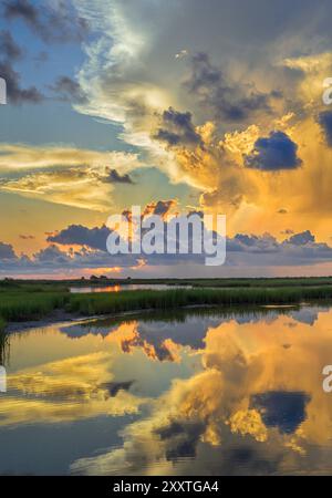 Am frühen Morgen in den Feuchtgebieten an der Küste mit den Reflexen der rosa Wolken im Wasser der Lagune, Galveston, Texas, USA. Stockfoto