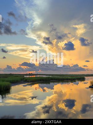 Am frühen Morgen in den Feuchtgebieten an der Küste mit den Reflexen der rosa Wolken im Wasser der Lagune, Galveston, Texas, USA. Stockfoto