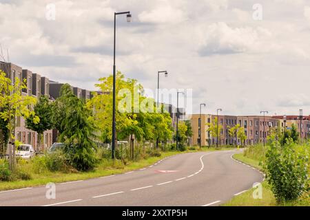 Straße mit neu gebauten modernen Einfamilienhäusern in der niederländischen Stadt Lent, Nijmegen Stockfoto