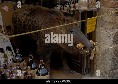 In einer Salumeria in San Gimignano, Toskana, steht ein Wildschwein über Flaschen chianti und Cantuccini, die zum Verkauf angeboten werden, hinter einem Schild, in dem die Kunden aufgefordert werden, sich nicht zu berühren – „si prega di non toccare“. Stockfoto