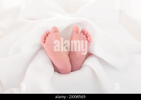 Neugeborenes im Krankenhauszimmer. Nahaufnahme der Babyfüße. Neugeborenes Kind in hölzernen Mitschlafkrippe. Kleinkind, das in der Bettwanne schläft. Niedlicher winziger Fuß. Stockfoto