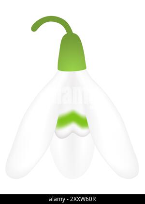 Schneeglöckchenblume isoliert auf weißem Hintergrund, Designelement. Stock Vektor