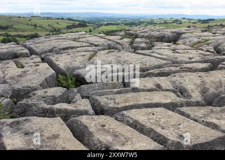 Kalksteinpflaster oberhalb von Malham Cove, Yorkshire, Großbritannien Stockfoto