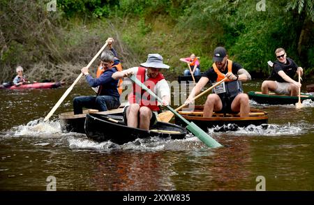 Ironbridge, Shropshire, Großbritannien. 26. August 2024 Ironbridge Coracle Regatta. Coracle Racer, die auf dem Fluss Severn planschen. Bild von David Bagnall. Quelle: David Bagnall/Alamy Live News Stockfoto