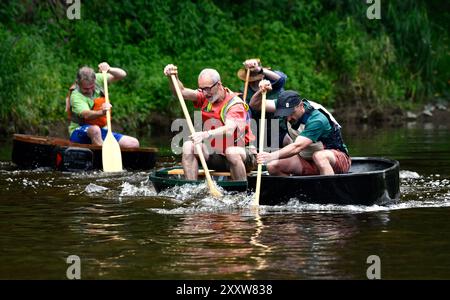 Ironbridge, Shropshire, Großbritannien. 26. August 2024 Ironbridge Coracle Regatta. Coracle Racer, die auf dem Fluss Severn planschen. Bild von David Bagnall. Quelle: David Bagnall/Alamy Live News Stockfoto