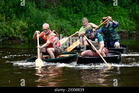 Ironbridge, Shropshire, Großbritannien. 26. August 2024 Ironbridge Coracle Regatta. Coracle Racer, die auf dem Fluss Severn planschen. Bild von David Bagnall. Quelle: David Bagnall/Alamy Live News Stockfoto