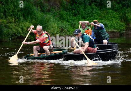 Ironbridge, Shropshire, Großbritannien. 26. August 2024 Ironbridge Coracle Regatta. Coracle Racer, die auf dem Fluss Severn planschen. Bild von David Bagnall. Quelle: David Bagnall/Alamy Live News Stockfoto