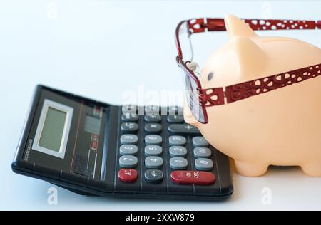 Schweinebank mit Brille vor dem Taschenrechner auf weißem Tisch Stockfoto