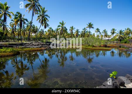 Holzschnitzerei im hawaiianischen Stil Pu uhonua O H naunau National Historical Park, Big Island, Hawaii Stockfoto