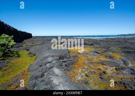 Holzschnitzerei im hawaiianischen Stil Pu uhonua O H naunau National Historical Park, Big Island, Hawaii Stockfoto