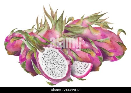 Aquarellillustration der roten Drachenfrucht, Pitahaya-Hälften. Botanische Komposition für vegetarische exotische Produkte, Drucke, Aufkleber. Stockfoto