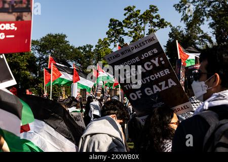 Chicago, USA. August 2024. Palästinensische Flaggen fliegen während eines Protestes vor der Demokratischen Nationalversammlung im Union Park in Chicago, IL am Mittwoch, den 21. August 2024. Tausende pro-palästinensischer Aktivisten nahmen an den Märschen und Protesten Teil, die während der ganzen Woche des DNC stattfanden, um gegen die Unterstützung der Vereinigten Staaten für Israel zu protestieren und einen Waffenstillstand für den Krieg in Gaza zu fordern. Quelle: SIPA USA/Alamy Live News Stockfoto