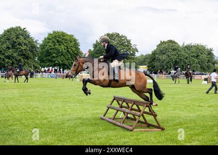 Ein Reiter springt ein Hindernis bei der Springshow der Royal Bath and West Show, Shepton Mallet, Somerset, England, Großbritannien Stockfoto