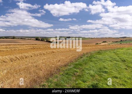 Blick auf die ländliche Landschaft und die Getreidefelder vom Weg zum West Kennet Long Barrow, Wiltshire, England, Großbritannien Stockfoto