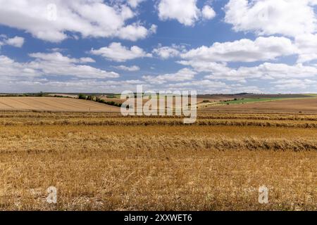 Blick auf die ländliche Landschaft und die Getreidefelder vom Weg zum West Kennet Long Barrow, Wiltshire, England, Großbritannien Stockfoto