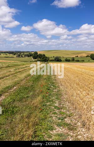 Blick auf die ländliche Landschaft und die Getreidefelder vom Weg zum West Kennet Long Barrow, Wiltshire, England, Großbritannien Stockfoto