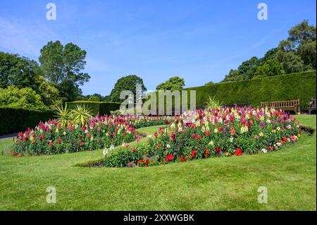 Blumenausstellungen im Pollok Country Park, Glasgow, Schottland, Großbritannien, Europa Stockfoto