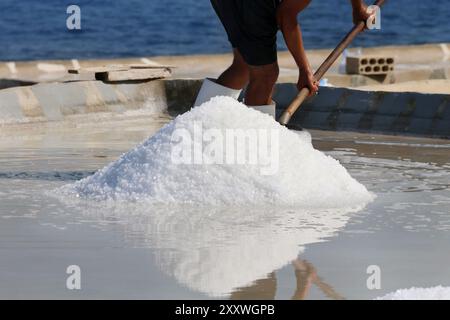Ein Arbeiter schaufelt Meersalz in einen Haufen in einem Becken in der Nähe einer Windmühle. Stockfoto