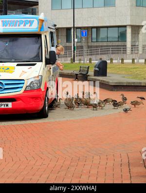 Enten werden von Mrs. Whippy Eiswagen, Cardiff Bay, Cardiff, South Wales gefüttert. Stockfoto