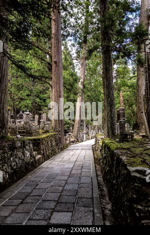 Pfad durch einen Friedhof am Berg Koyasan Japan Stockfoto