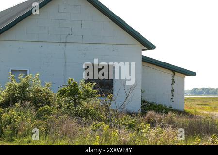 Plum Island ist eine Barriereinsel im Nordosten von Massachusetts. Sie ist nach den wilden Strandpflaumen benannt, die in den Dünen wachsen. Es sind 11 Meilen lang Stockfoto