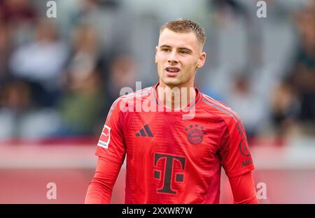 München, Deutschland. August 2024. Gabriel Vidovic, FCB 46 beim Freundschaftsspiel FC BAYERN München - GRASHOPPERS Zuerich 4-0 am 20. August 2024 in München Saison 2024/2025, FCB, Fotograf: ddp Images/STAR-Images Credit: ddp Media GmbH/Alamy Live News Stockfoto